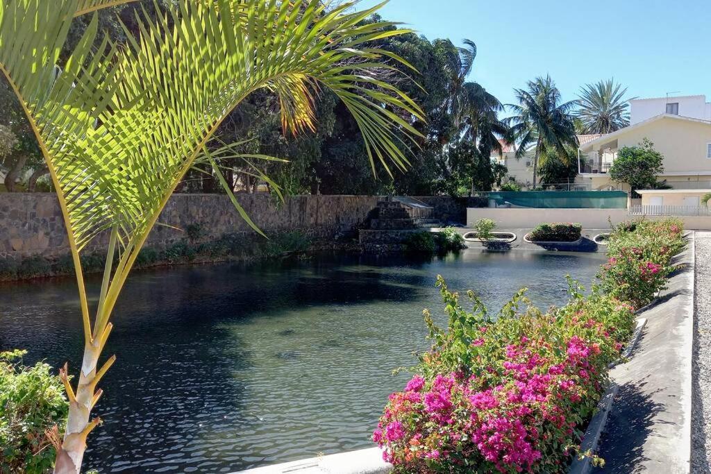 Le Dattier Holidays Flic-en-Flacq エクステリア 写真